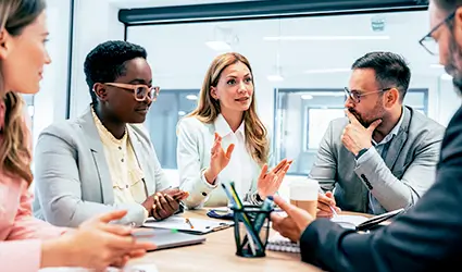Business team discussing a website project